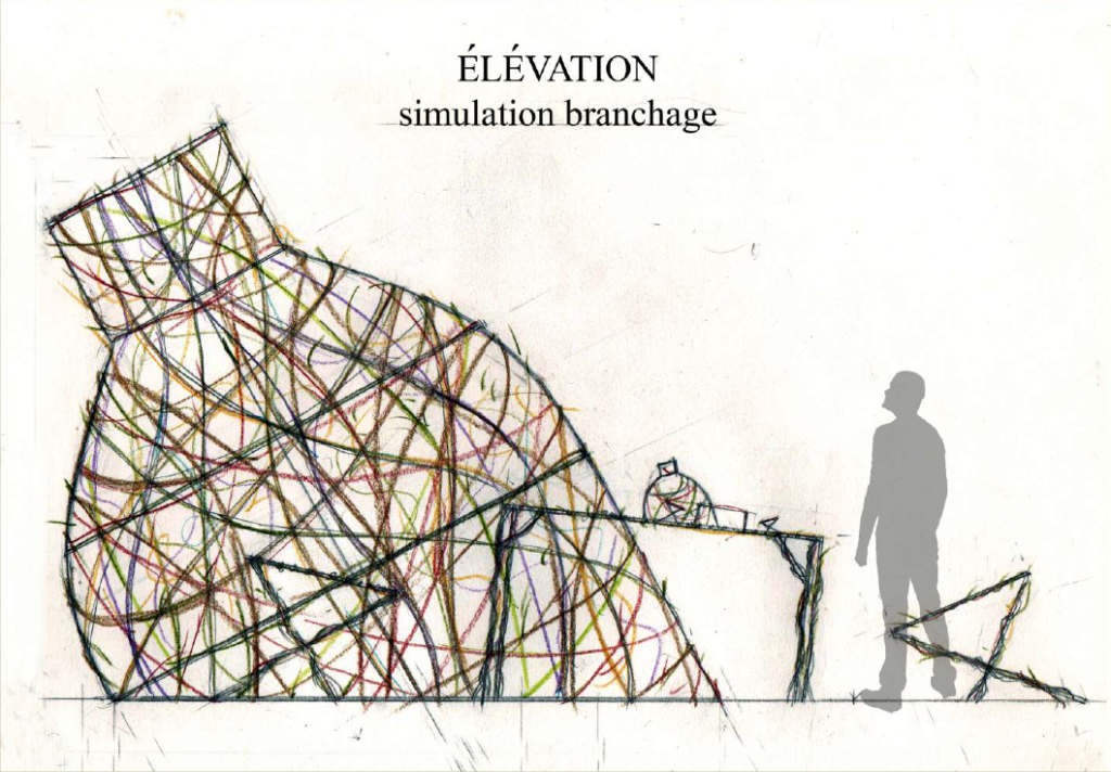 simulation branchage, élévation, projet 1, "émergence"