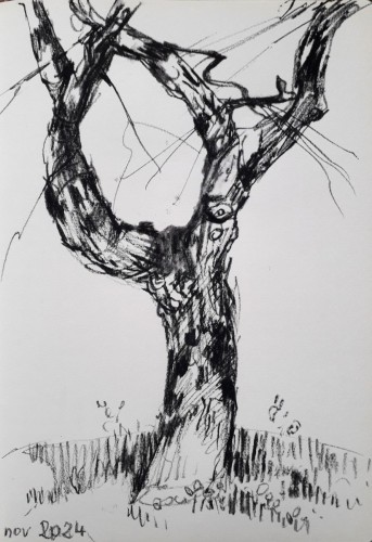 Arbre 3, crayon noir sur papier, 30 x 21 cm