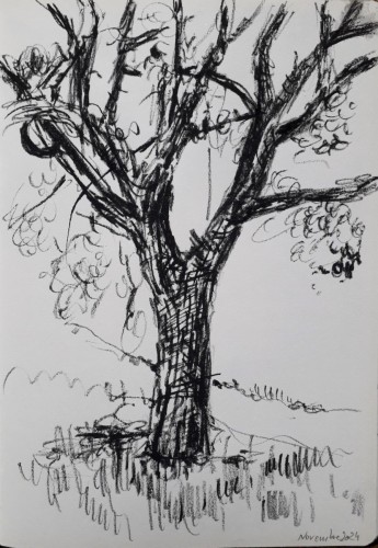 Arbre 4, crayon noir sur papier, 30 x 21 cm