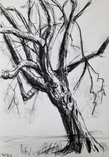 Arbre 2 , 2024, crayon noir sur papier, 30 x 21 cm