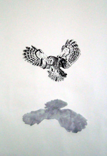 Envolé, 2011, encre sur papier, 150 x 110 cm