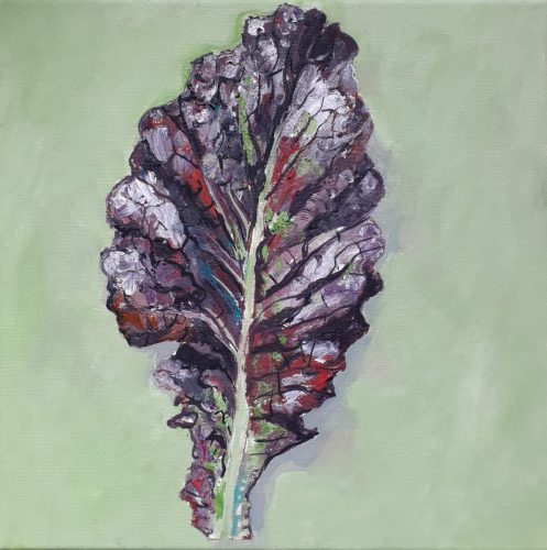 Salade - 2026 - huile sur toile - 30 x 30 cm
